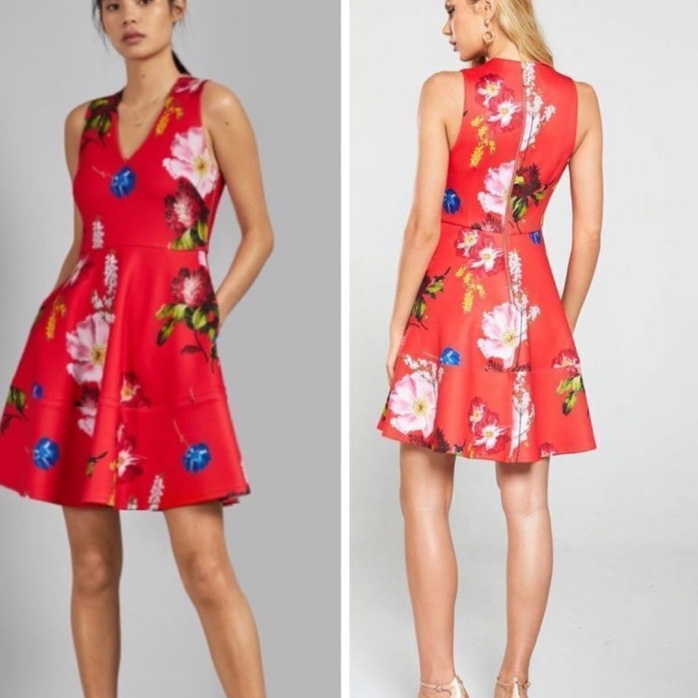Ted Baker dress